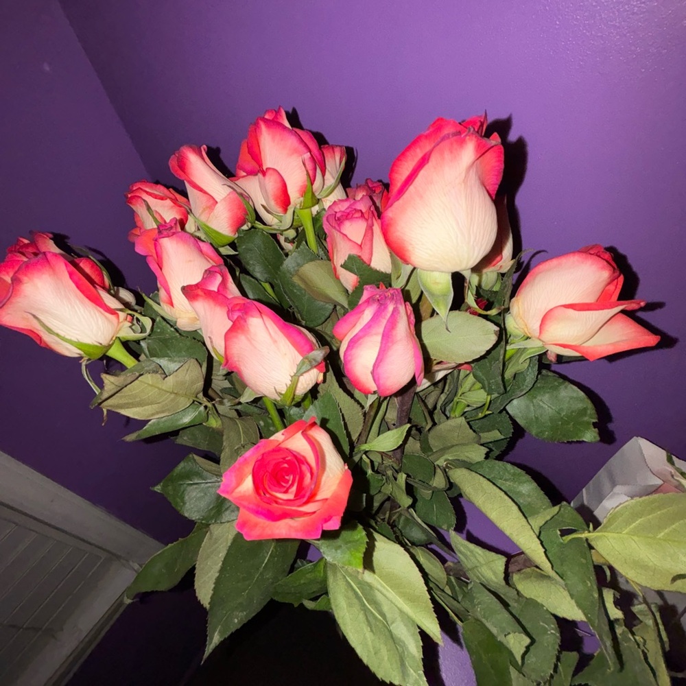 Meet your Posher, Andrea